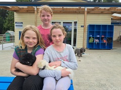 Kakanui School has gone to the dogs, and chickens, and rabbits ... and a pony!
