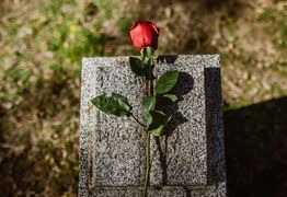 Have Your Say on Cemetery Bylaw Updates