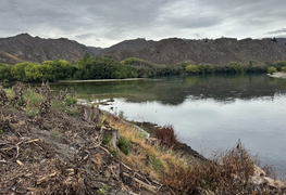 Park given new name; Kāmoanahaehae - Riverside Park