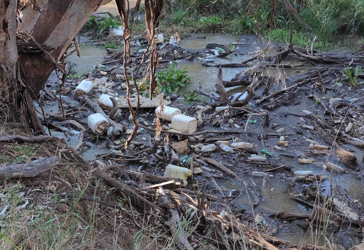 EPA and Warren Council work together to clear flood debris in Macquarie River  