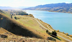 Wilding conifer funding announced from international visitor conservation fund