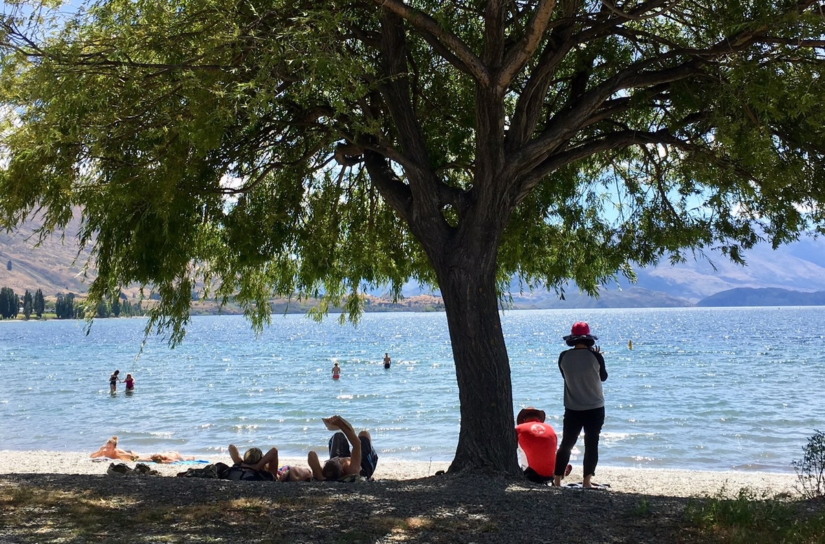 Decline in lake health needs urgent action - community group 