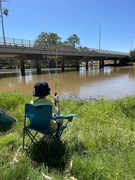 Annual carp muster reels in the fun