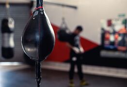 New Boxing Gym Opens on Hibiscus Coast