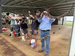 Wild pig bounty program brings home the bacon