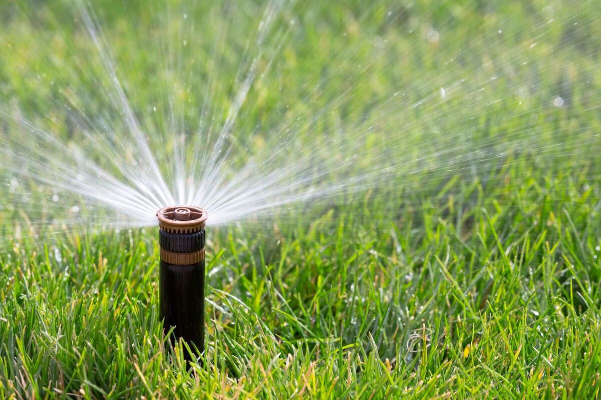 Aucklanders Praised for Water Conservation