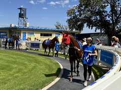 Laisvas wins the feature race at Condo