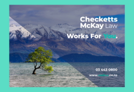 Local Legal Expertise for You (Law blog)
