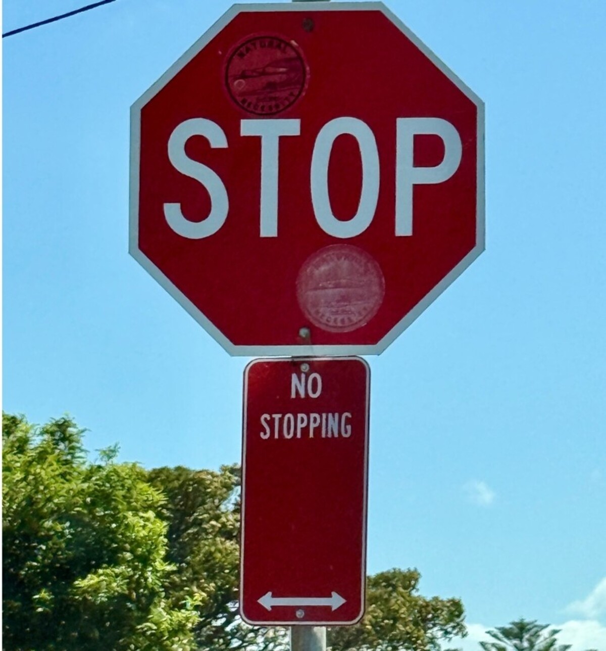 Kiama’s stop sign paradox leaves drivers puzzled
