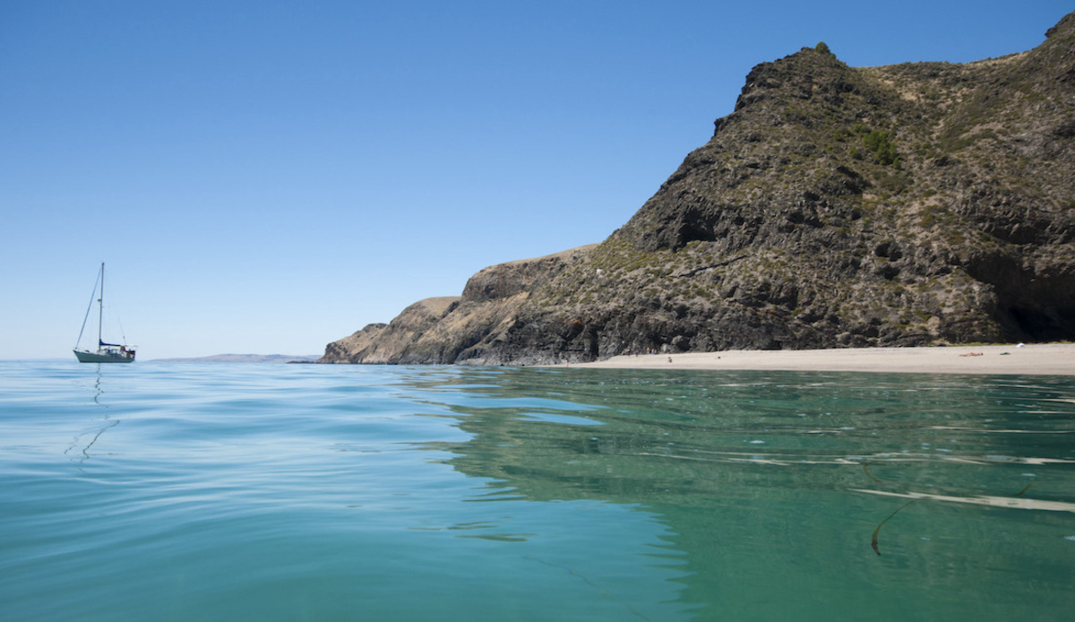 Fall in love with Fleurieu parks this month