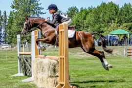 Young equestrian takes on Wānaka Show