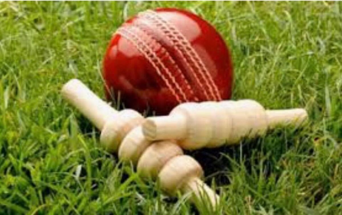 Shearwood & Thompson fire SCIB to important win in Hills Cricket
