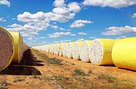 Merrowie Aggregation hits the market with a $200m price tag