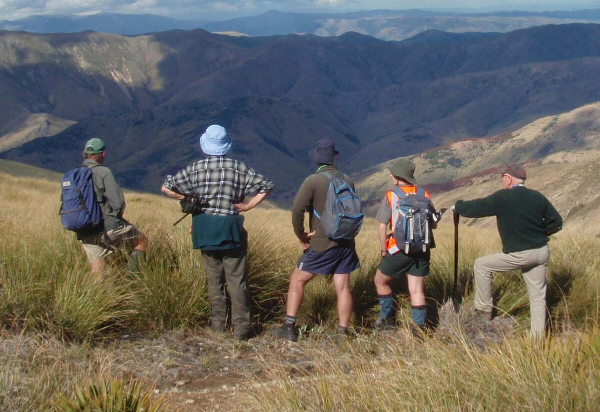 Solutions underway to find additional wilding conifer funding