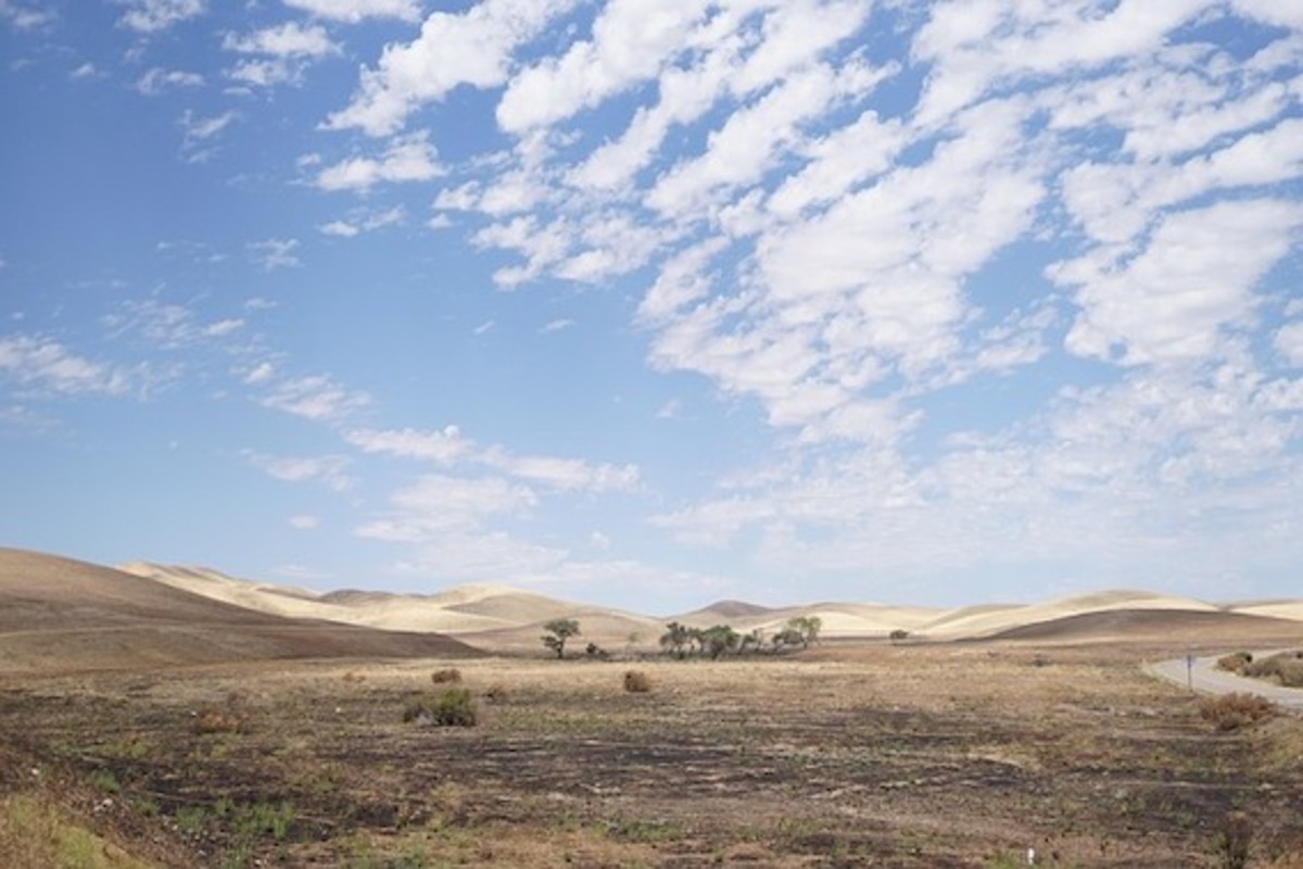 KI farmers open dams in dry conditions
