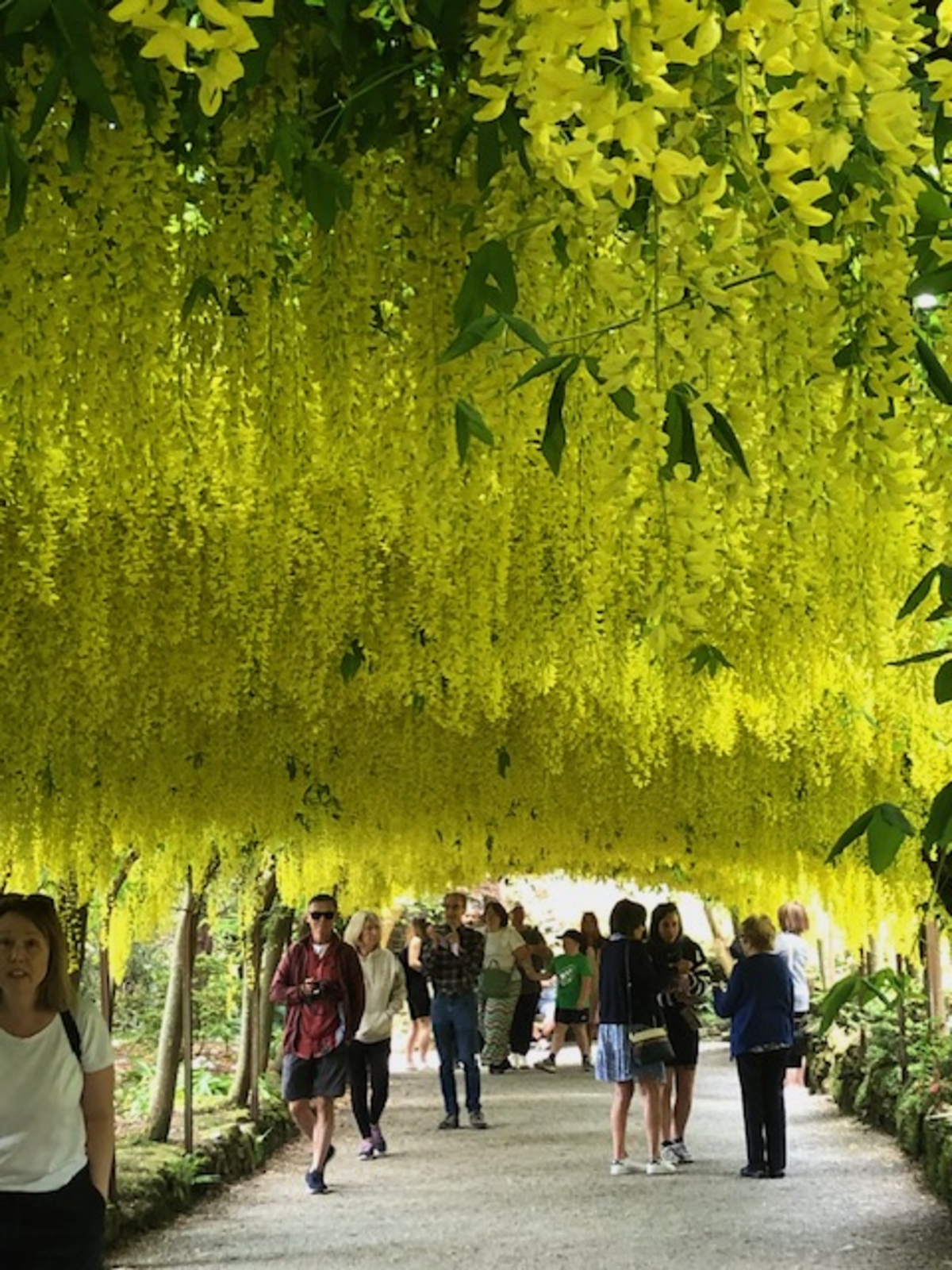 The Best of English Gardens comes to Gerringong!