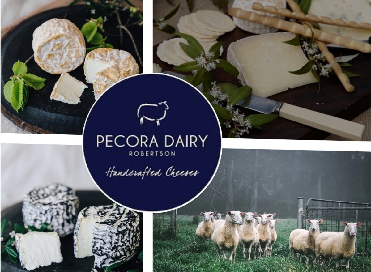Pecora Dairy wins gold at Sydney Royal but local cheese makers face tough challenges
