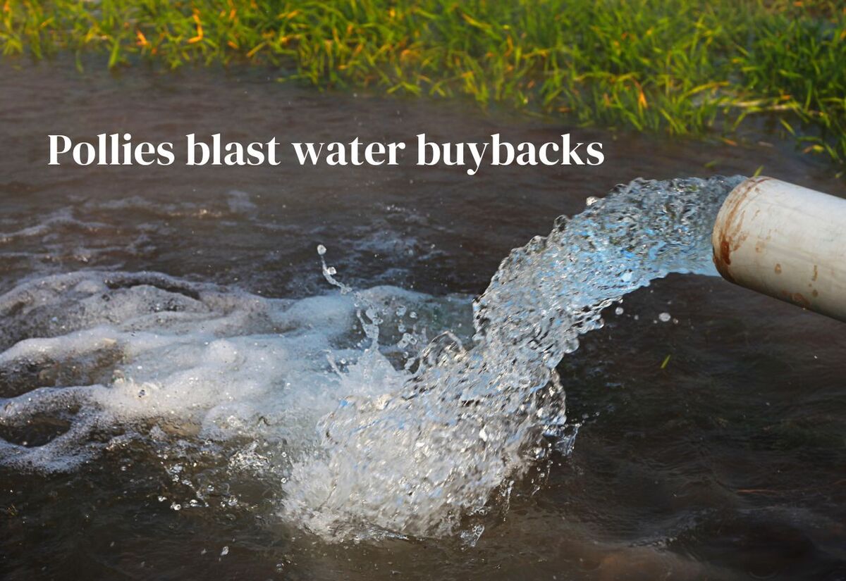 Water buybacks stir up local pollies