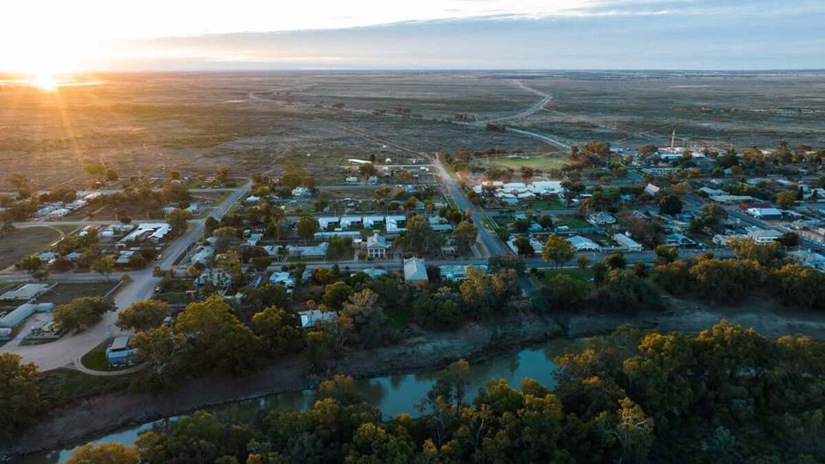 Central Darling Shire unveils draft plan for street trees and verges 