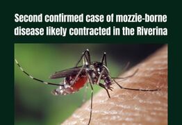Second case of JE likely contracted in the Riverina
