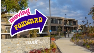 Moving forward after Blue Haven Bonaira sale