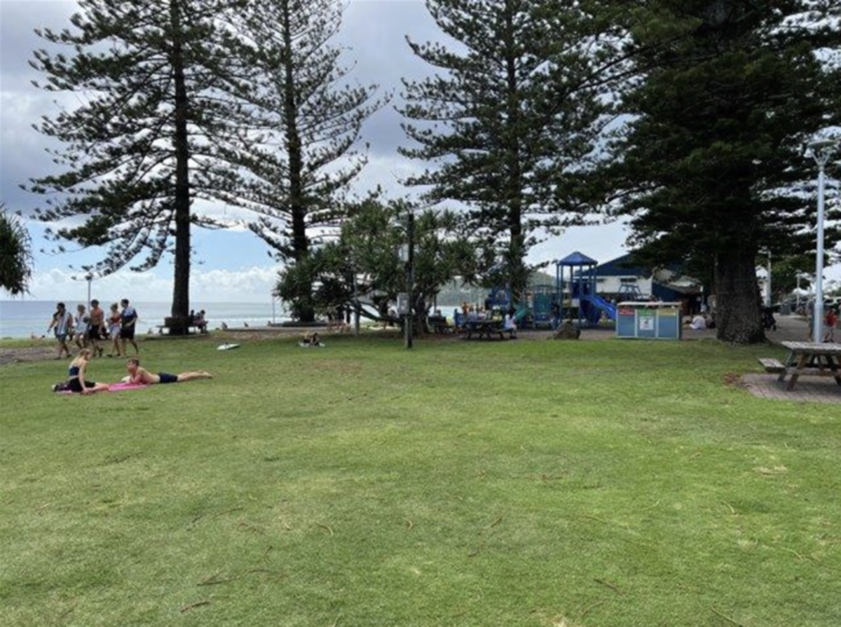 Norfolk pines at Byron Bay removed for public safety