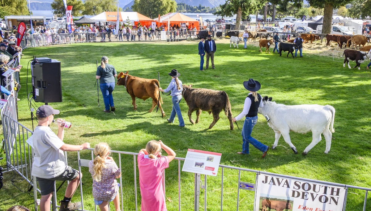 Another ‘standout year’ for Wānaka Show