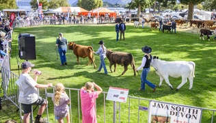 Another ‘standout year’ for Wānaka Show