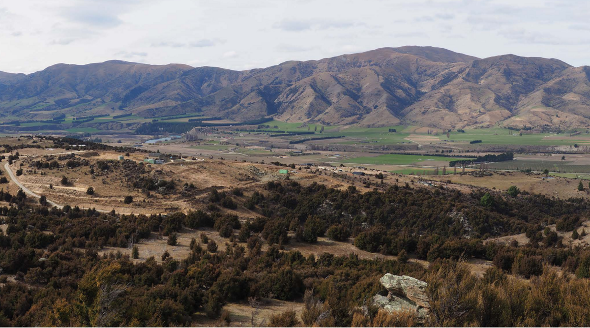 Lizards and native vegetation could make way for proposed Queensberry subdivision