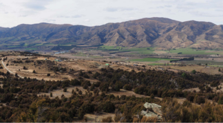 Lizards and native vegetation could make way for proposed Queensberry subdivision