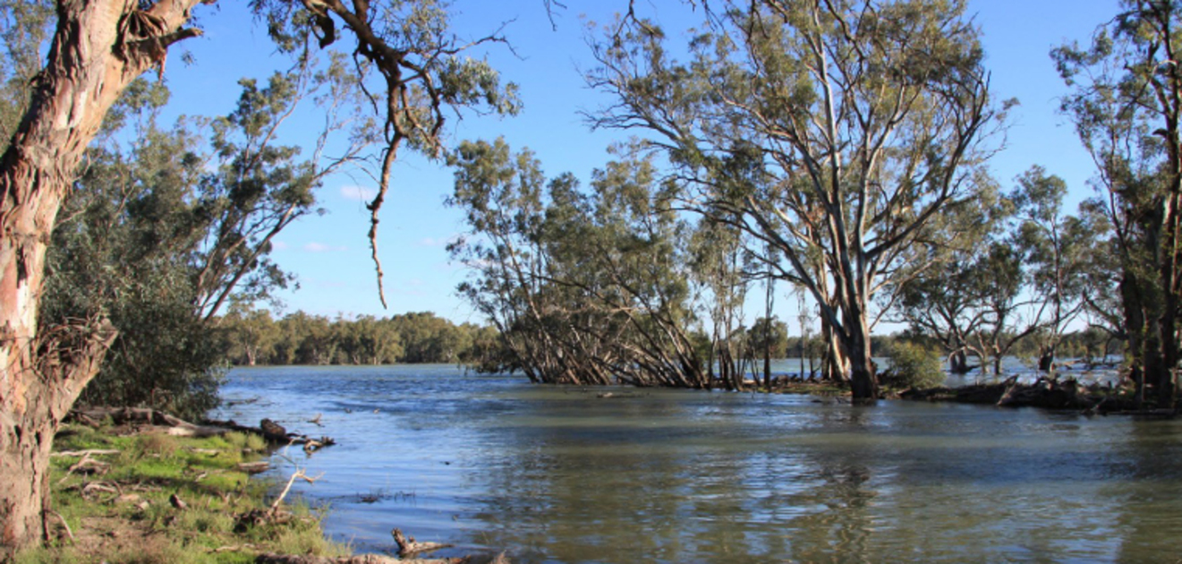 NSW releases What We Heard Report, on the draft flood plan for Murrumbidgee