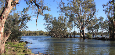 NSW releases What We Heard Report, on the draft flood plan for Murrumbidgee