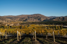 Autumn weather for Central, dry and chilly mornings 