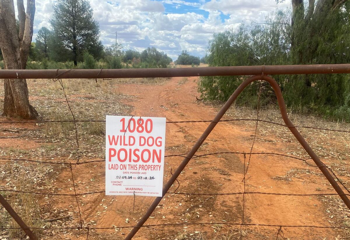 Landholders urged to coordinate fox and wild dog control 