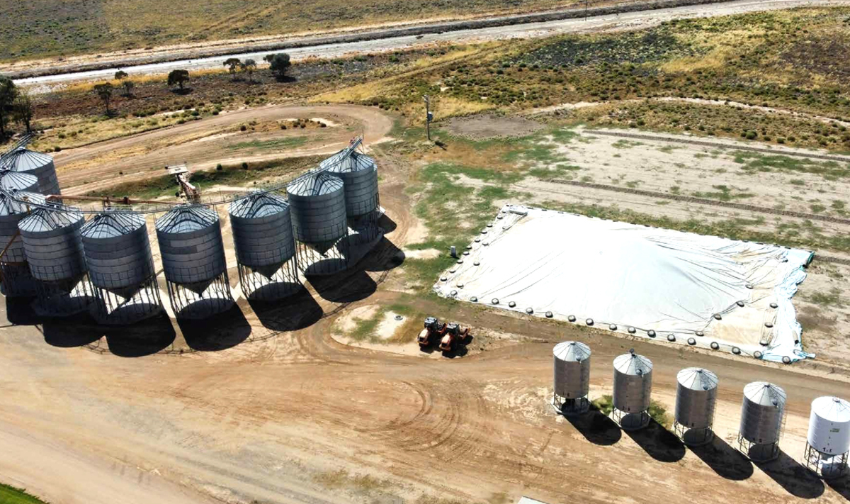 Noongaburra offered for sale