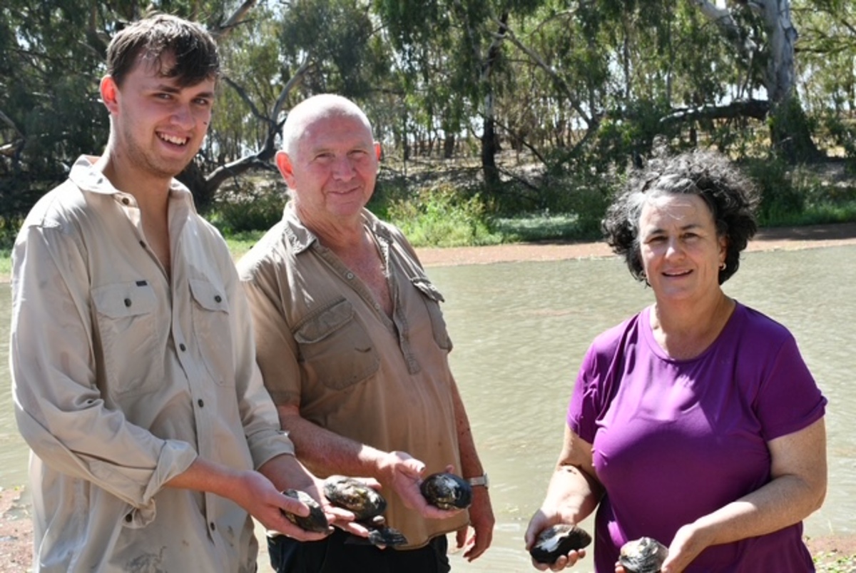 Mussel Muster by Roslyn Lockhart (Jeithi Jerilderie Aboriginal Corporation)