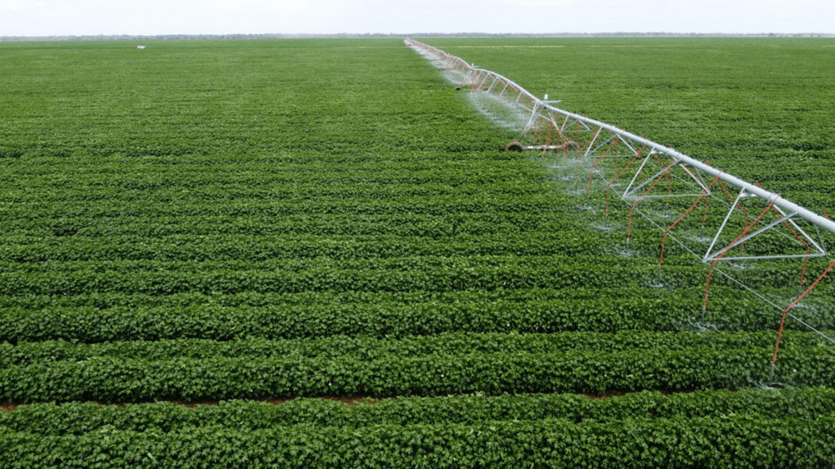 Merrowie Aggregation hits the market with a $200m price tag