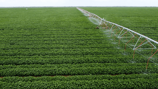 Merrowie Aggregation hits the  market with a $200m price tag