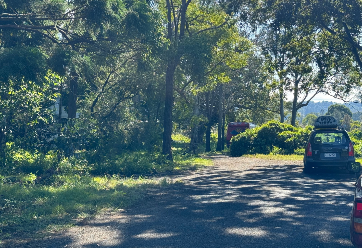 Planning going ahead for Pine Street house removals