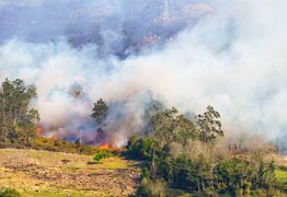 Outdoor Fire Ban Now in Place