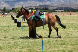 Equestrian centre, Cromwell hall boosted by CLT grants