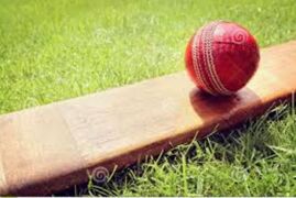 Eagles soar into Hills Cricket Grand Final