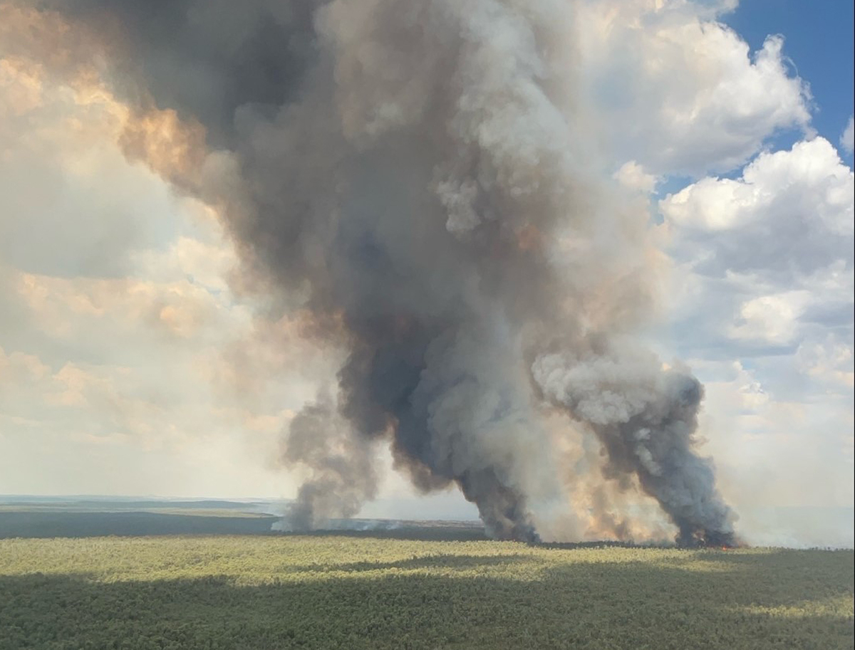 RFS volunteers acknowledged for their value
