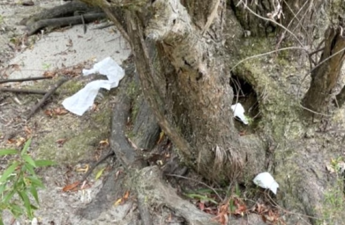 Washing lines, fire pits, toileting - a ‘non-compliance’ summer of freedom camping 
