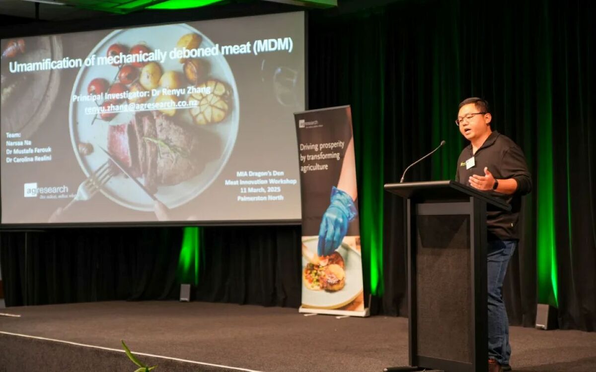 Scientist to create unique New Zealand-flavoured dried meat flake