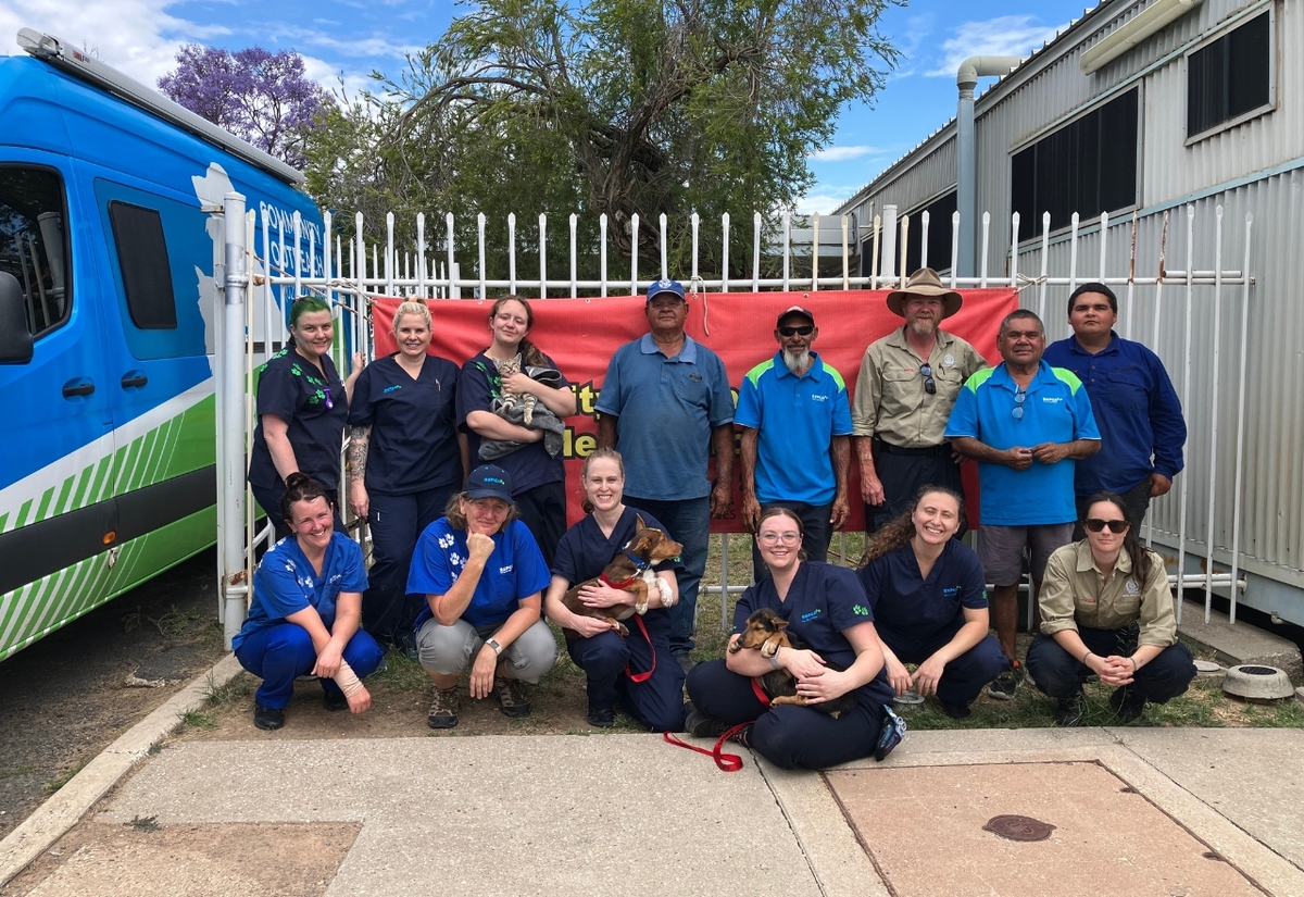 Stray animals the focus of a new project in Walgett and Bre