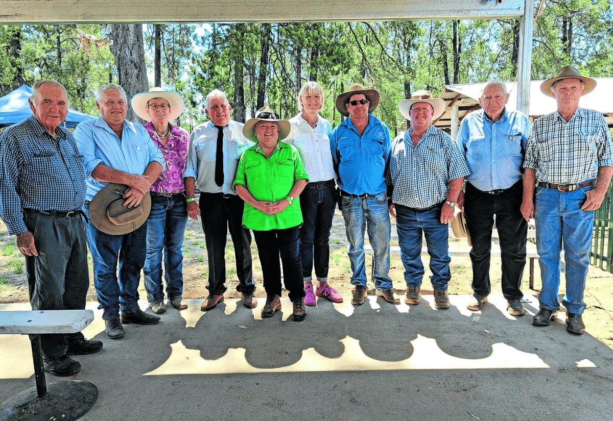 Baradine show switches into gear