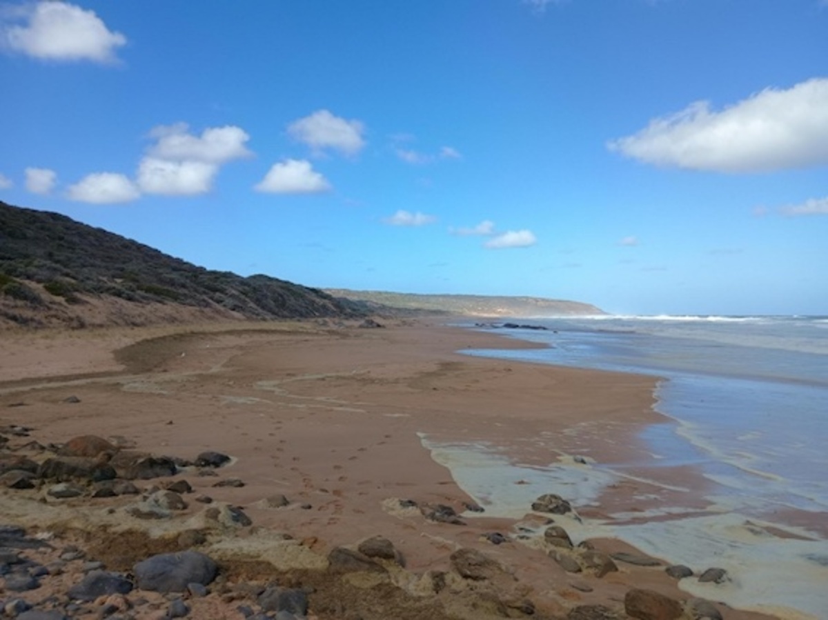 Pollution closes beaches and horse tram