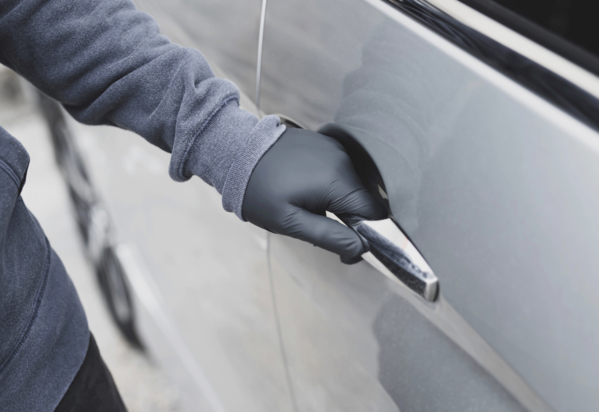 Dargaville Police catch up with offenders