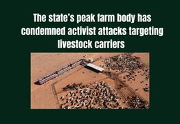 Farmers slam activist attacks